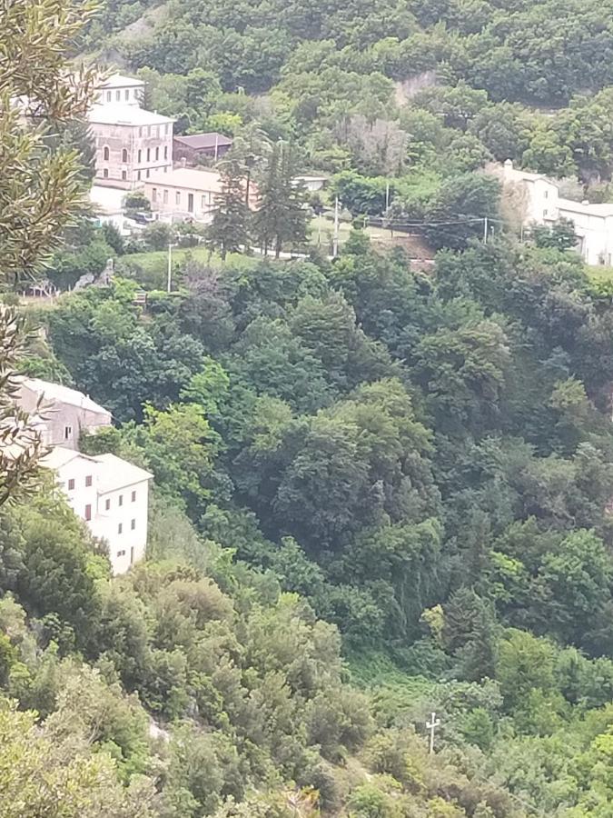 Hotel Traivicolidifoligno Zewnętrze zdjęcie